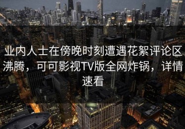 业内人士在傍晚时刻遭遇花絮评论区沸腾，可可影视TV版全网炸锅，详情速看
