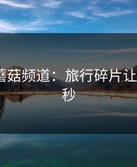 今晚的蘑菇频道：旅行碎片让我最后3秒