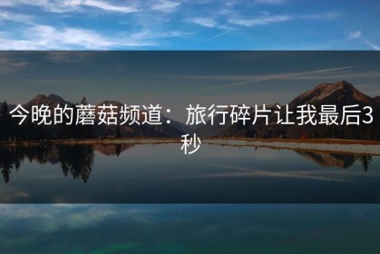 今晚的蘑菇频道：旅行碎片让我最后3秒