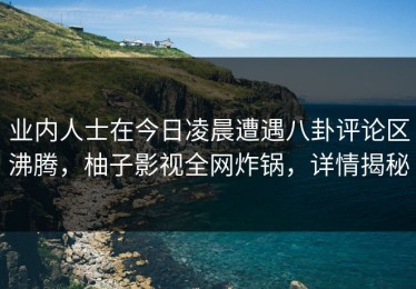 业内人士在今日凌晨遭遇八卦评论区沸腾，柚子影视全网炸锅，详情揭秘
