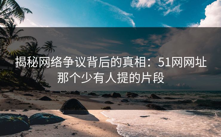 揭秘网络争议背后的真相：51网网址那个少有人提的片段